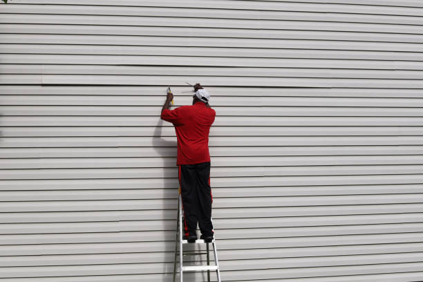 Best Custom Siding Design  in Belleville, WI